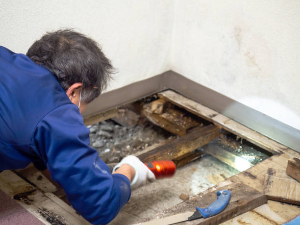 Best Crawl Space Mold Remediation in Lame Deer, MT
